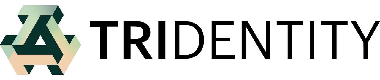 Trident Digital Tech Holdings